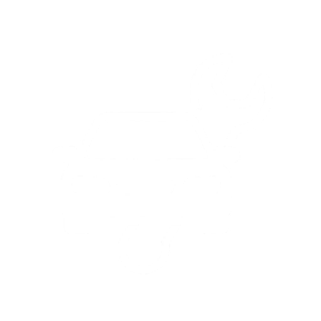 Himmelwerk Service: Professioneller Ein- und Ausbau von Dachhimmel mit Sternenhimmel in NRW.